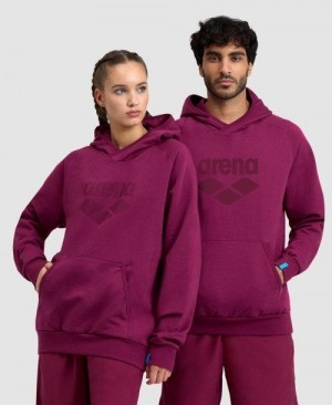 Arena Logo Hooded Sweatshirt Multicolor | 759241-QIR