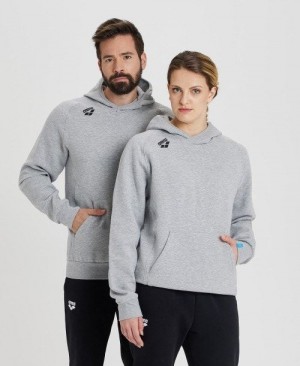 Arena Team Hooded Sweatshirt Panel Grey | 460391-BQW