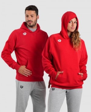 Arena Team Hooded Sweatshirt Panel Red | 756982-IDF