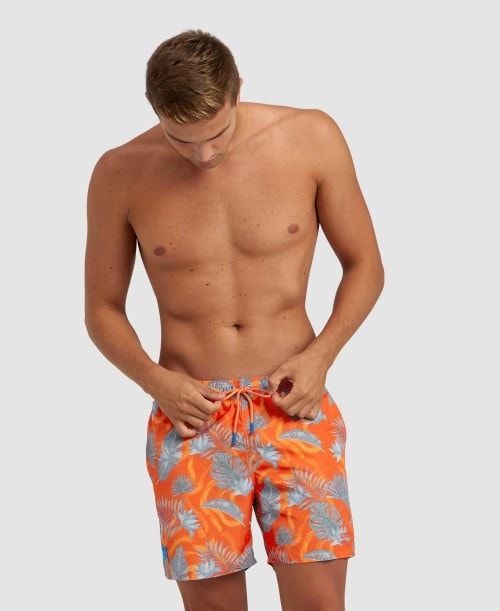 Arena Allover Beach Boxer Grey Multicolor | 248731-MLR