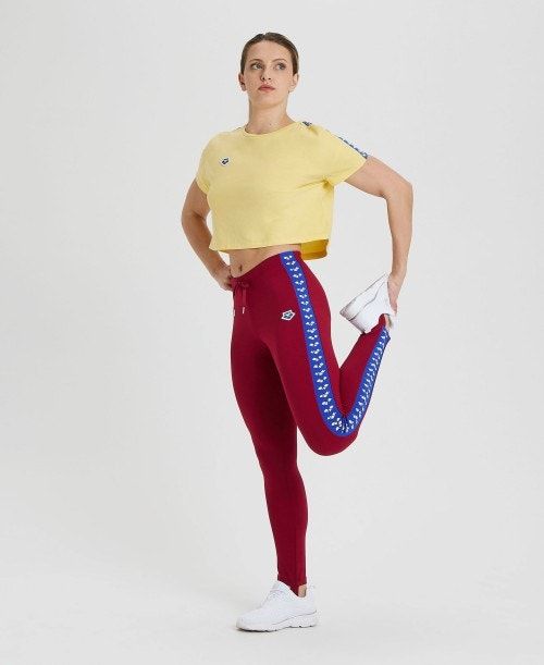 Arena Caroline Team Pant Burgundy / Blue | 849320-KTL