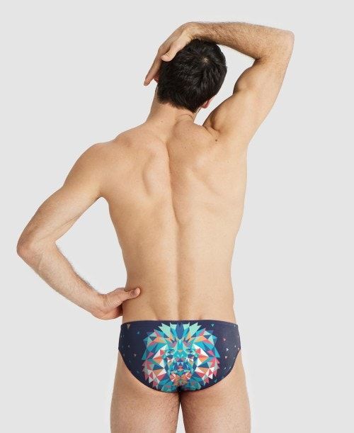 Arena Drew Kibler Collection Brief Multicolor | 451328-EUX