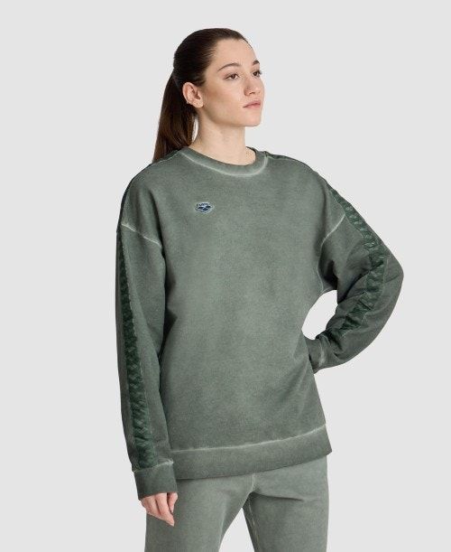 Arena Icons Oversize Sweatshirt Multicolor | 387504-DPX