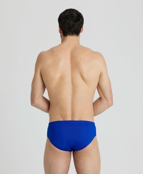 Arena Icons Panel Briefs Blue / Burgundy / Blue | 485631-YTH