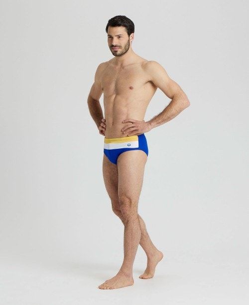 Arena Icons Panel Briefs Blue / Burgundy / Blue | 485631-YTH