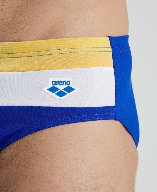 Arena Icons Panel Briefs Blue / Burgundy / Blue | 485631-YTH