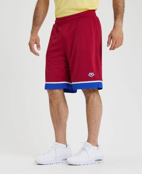 Arena Icons Reversible Bermuda Short Burgundy / Blue / Multicolor | 239570-MVA