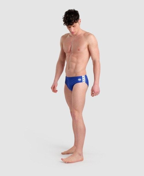 Arena Icons Solid Brief Royal | 317892-VLB