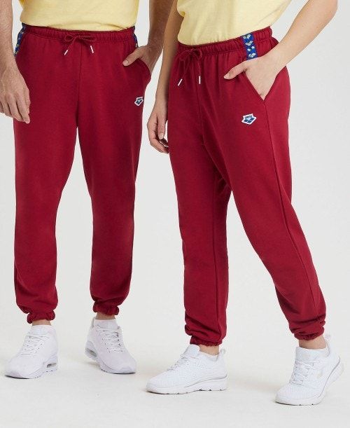 Arena Icons Solid Pant Burgundy / Blue | 067934-NTA