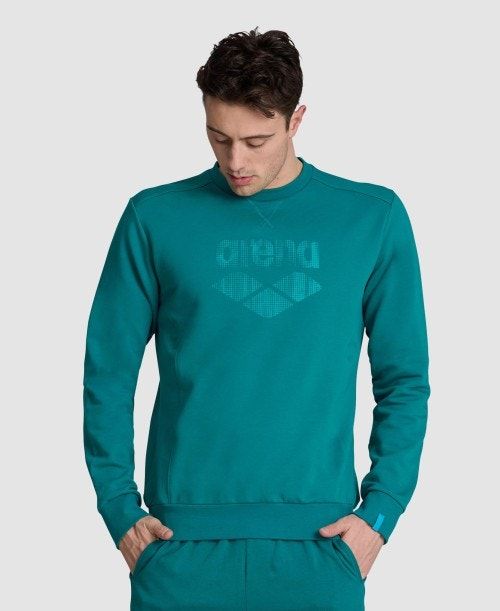 Arena Logo Crewneck Green | 784623-KNQ