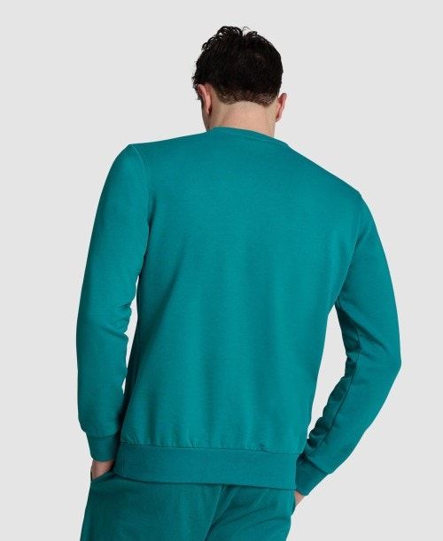 Arena Logo Crewneck Green | 784623-KNQ