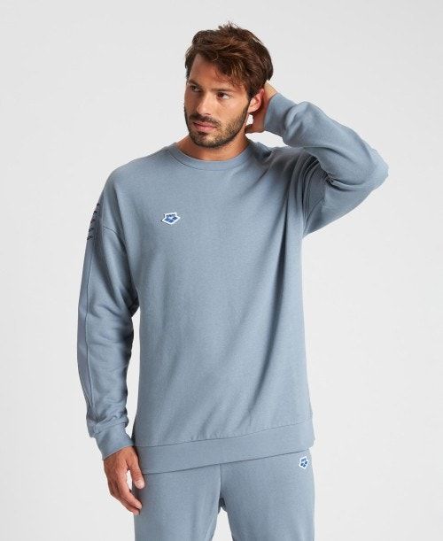 Arena Oversized Team Sweatshirt Grey / Grey | 618453-IBD