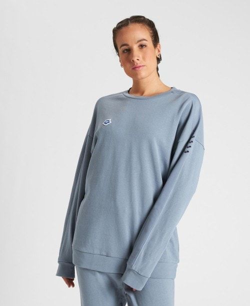 Arena Oversized Team Sweatshirt Grey / Grey | 618453-IBD