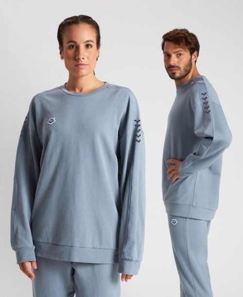 Arena Oversized Team Sweatshirt Grey / Grey | 618453-IBD