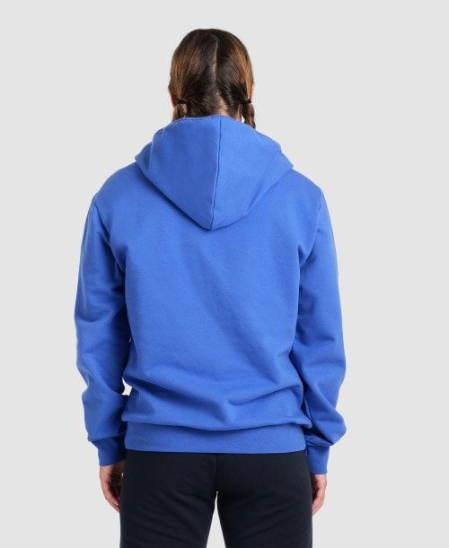 Arena Team Hooded Jacket Panel Royal | 761032-CHT