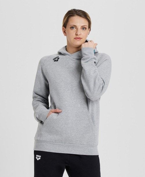 Arena Team Hooded Sweatshirt Panel Grey | 460391-BQW