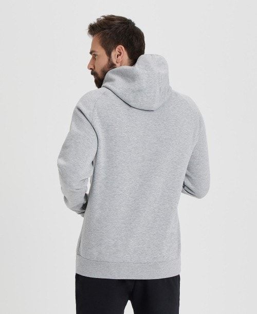 Arena Team Hooded Sweatshirt Panel Grey | 460391-BQW