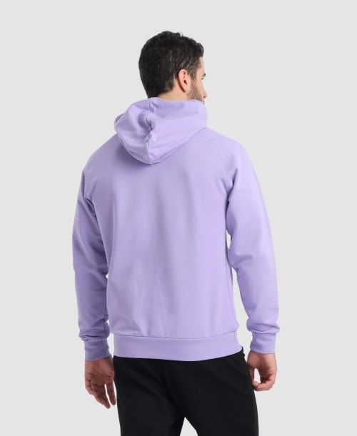 Arena Team Hooded Sweatshirt Panel Multicolor | 692147-YTM