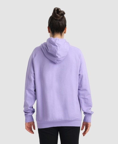 Arena Team Hooded Sweatshirt Panel Multicolor | 692147-YTM