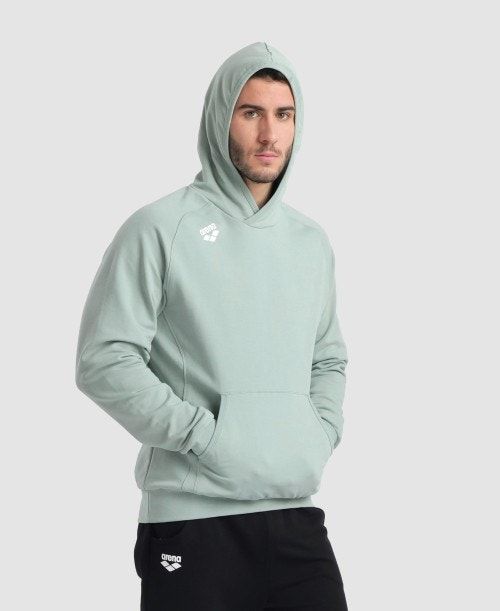 Arena Team Hooded Sweatshirt Panel Multicolor | 546872-SWE