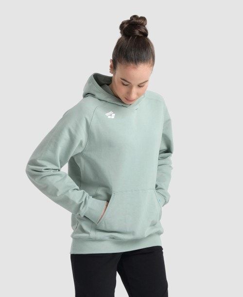 Arena Team Hooded Sweatshirt Panel Multicolor | 546872-SWE