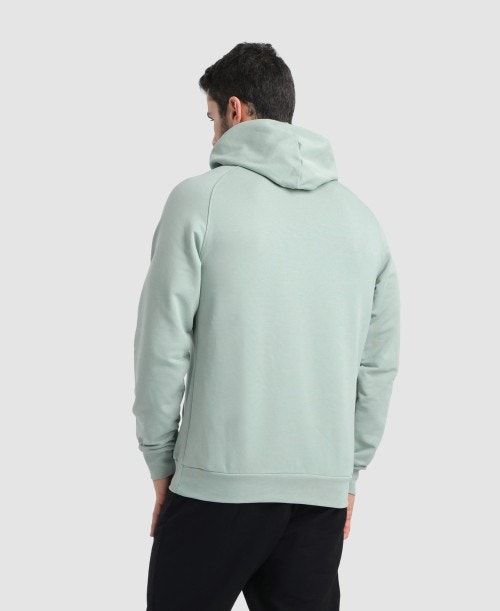 Arena Team Hooded Sweatshirt Panel Multicolor | 546872-SWE