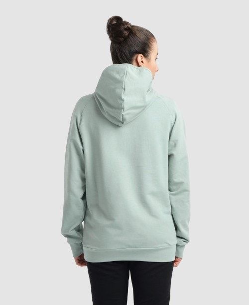 Arena Team Hooded Sweatshirt Panel Multicolor | 546872-SWE