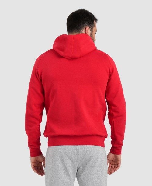 Arena Team Hooded Sweatshirt Panel Red | 756982-IDF