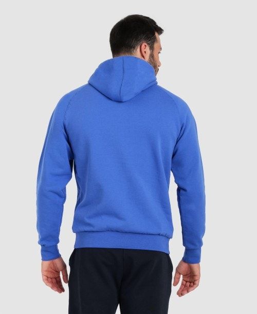 Arena Team Hooded Sweatshirt Panel Royal | 609785-YUI