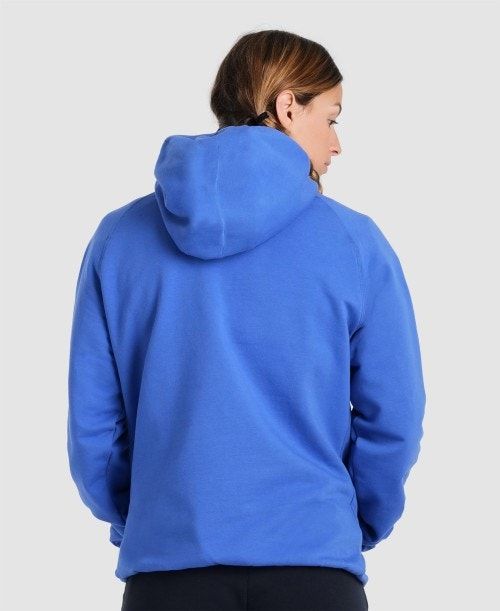 Arena Team Hooded Sweatshirt Panel Royal | 609785-YUI