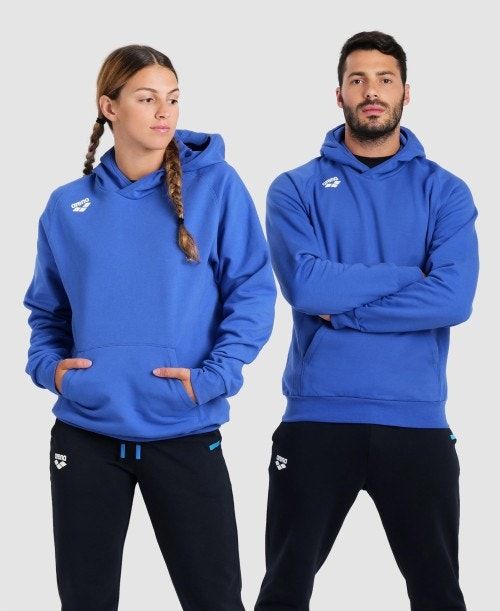 Arena Team Hooded Sweatshirt Panel Royal | 609785-YUI